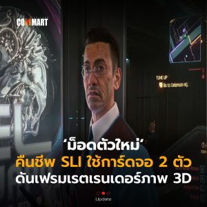 การ์ดจอ 2 ตัว