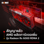 AMD-2