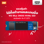 Promotion-WD-BLUE-SN550