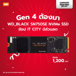 Promotion-WD-Sandisk