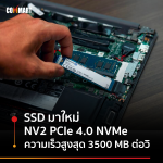 SSD-NEW