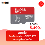 SanDisk1-1